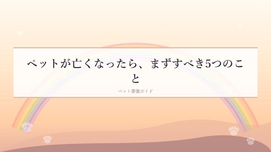 ペットが亡くなったら、まずすべき5つのこと