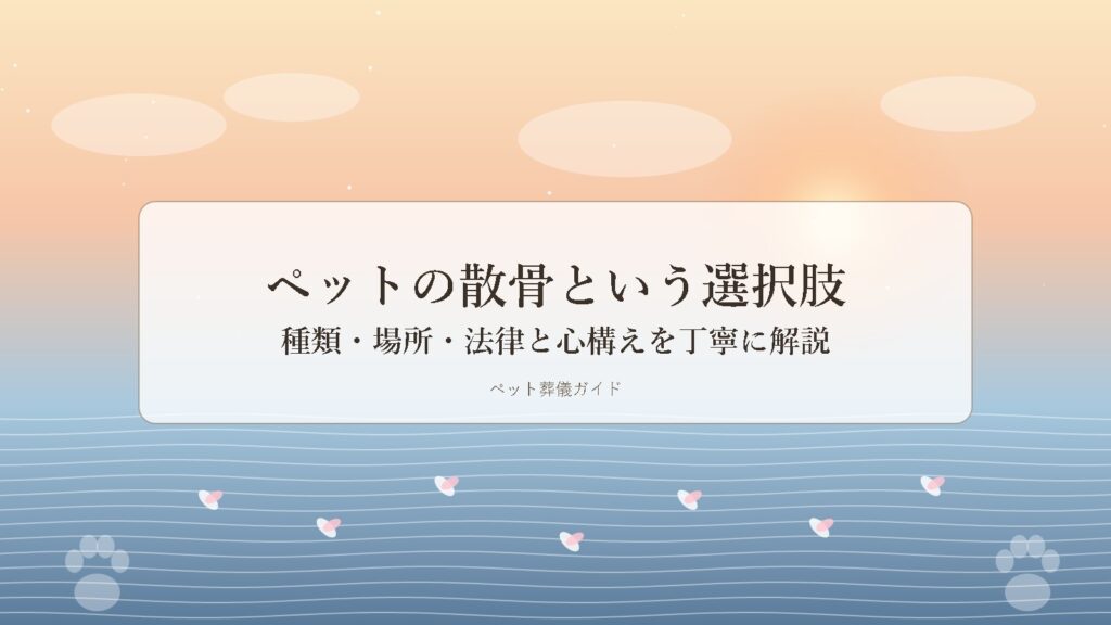 ペットの散骨イメージ ― 海と夜明けの空