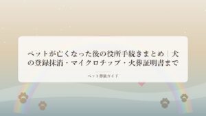 ペットを見送ったあとの手続きをイメージしたメモリアル風アイキャッチ画像